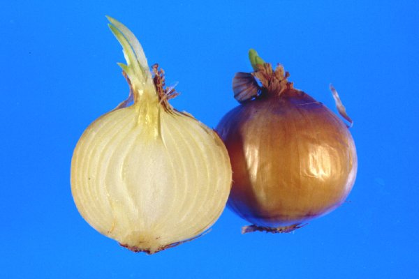 Кракен торговая kr2web in