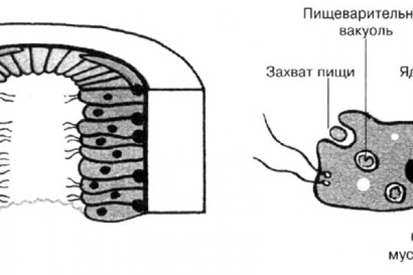 Ссылка на кракен зеркало