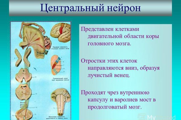 Кракен kr2web in сайт официальный