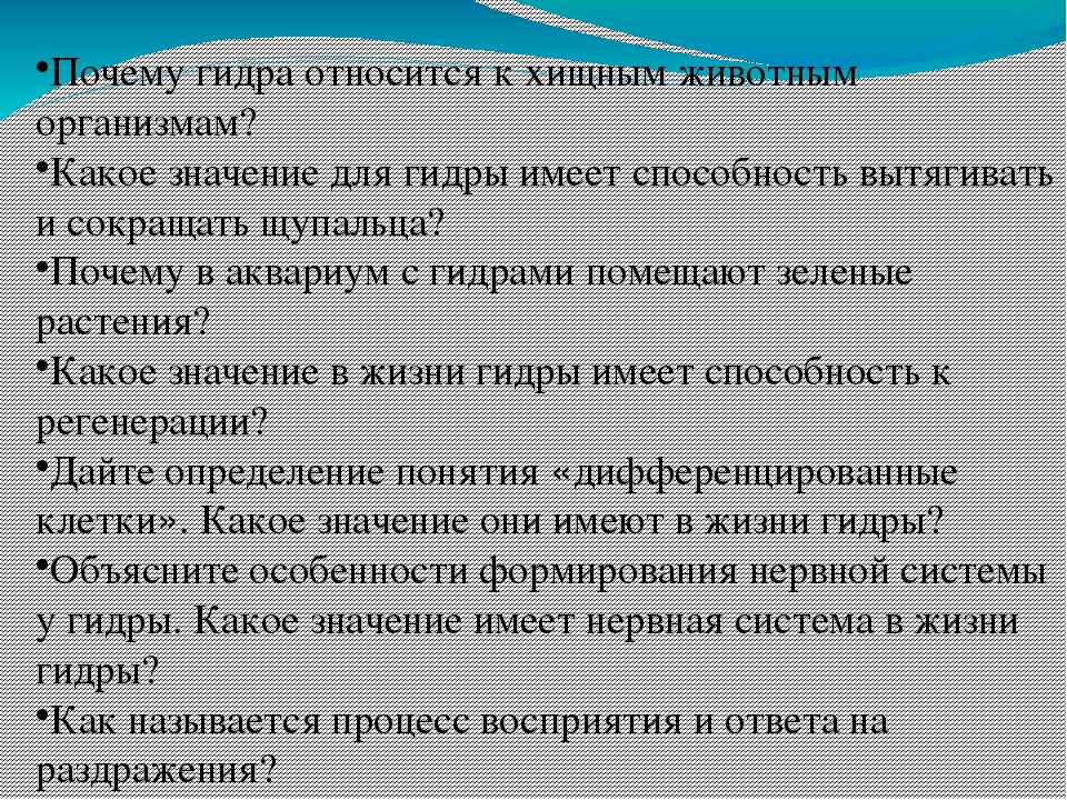 Кракен почему не заходит