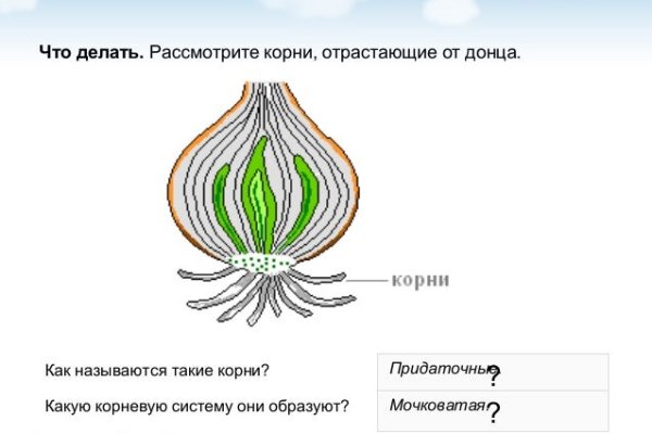 Как зайти на кракен браузеры